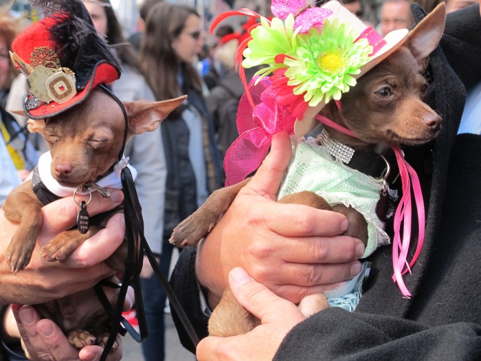 Easter Parade, 5th Avenue