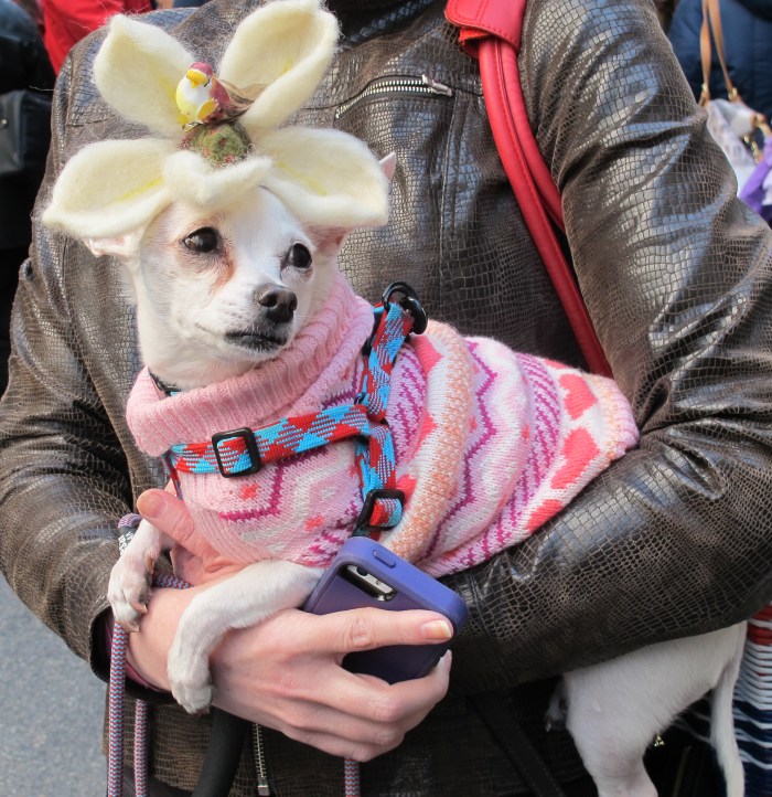 Easter Parade, 5th Avenue