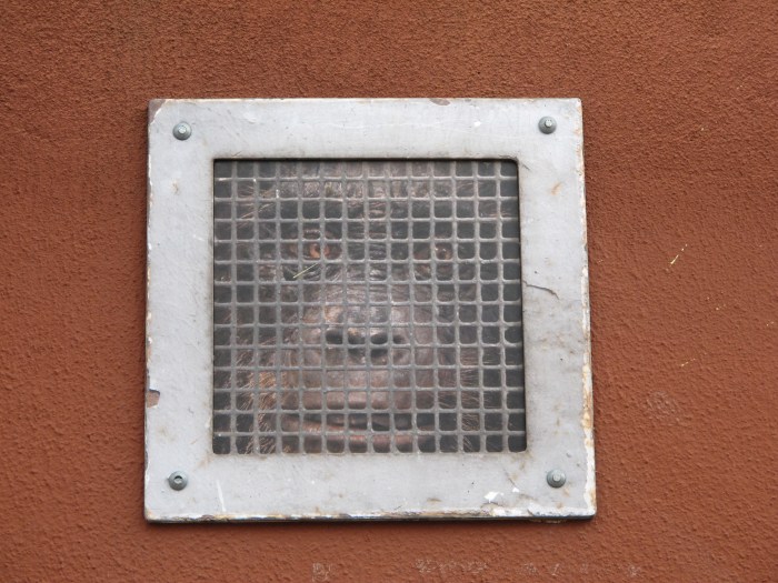 Street Art, Bushwick