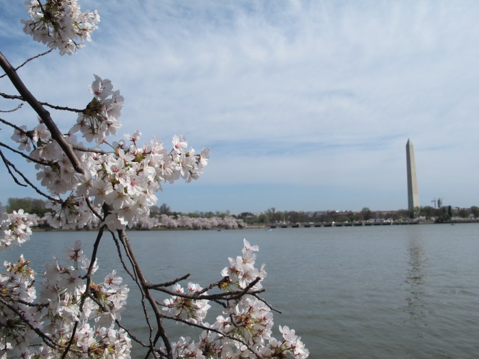 Washington Monument Reiseblog