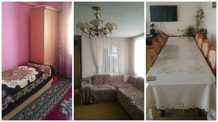 folaremusterundplastik